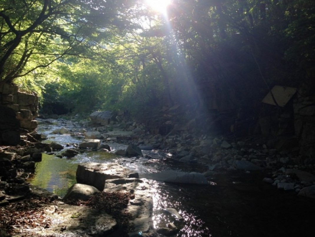 20bf1d194008affa9dd191b61024354f_1432888